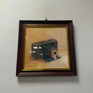 Obrazek MAGGIA 378 (1)