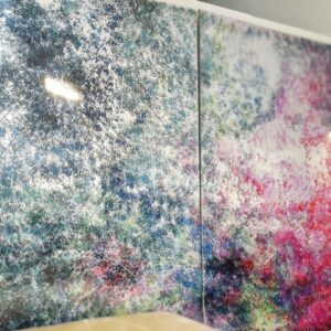 Boazeria Colorata (1)