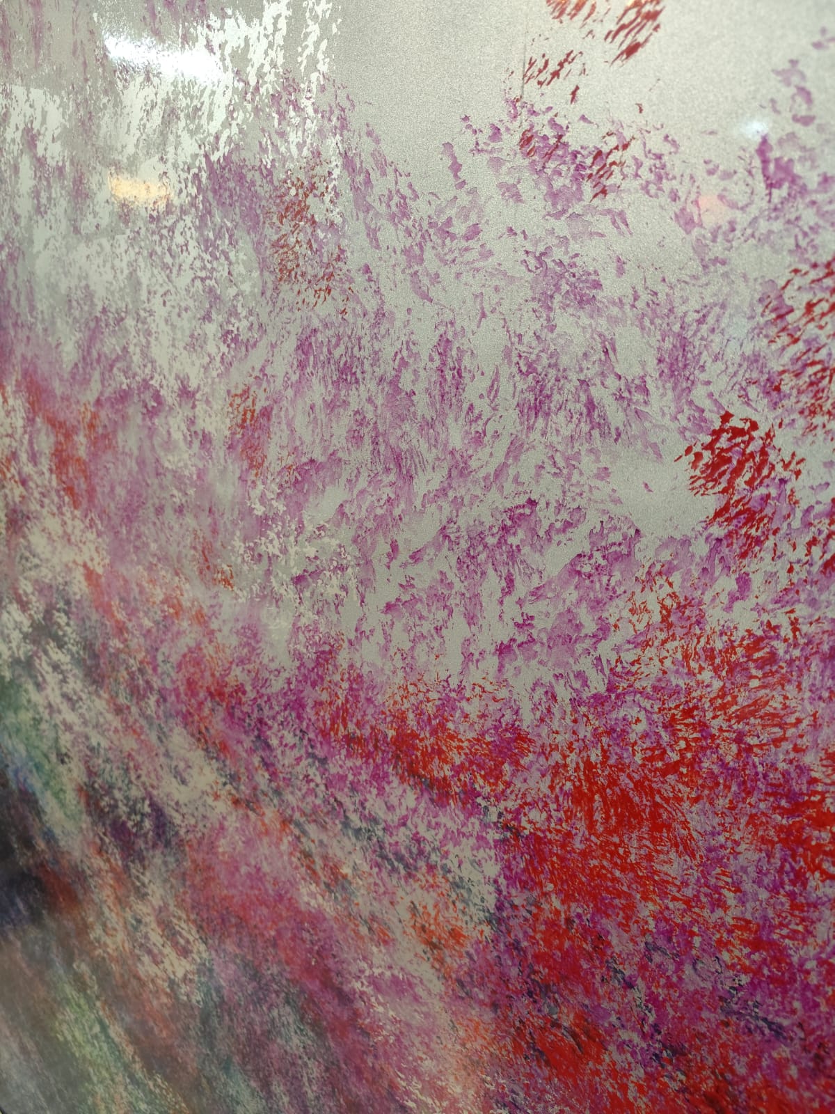 Boazeria Colorata (2)