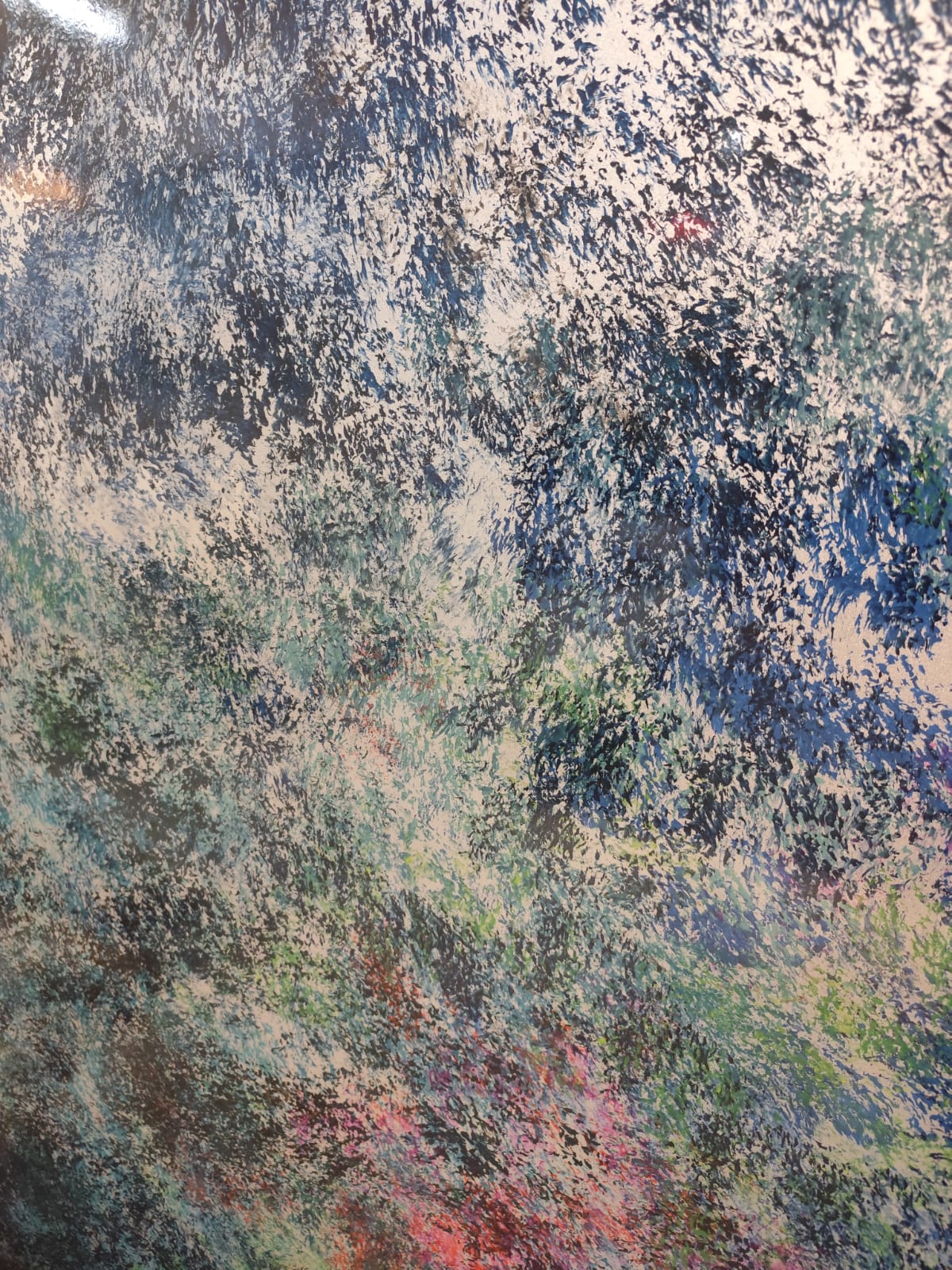 Boazeria Colorata (5)