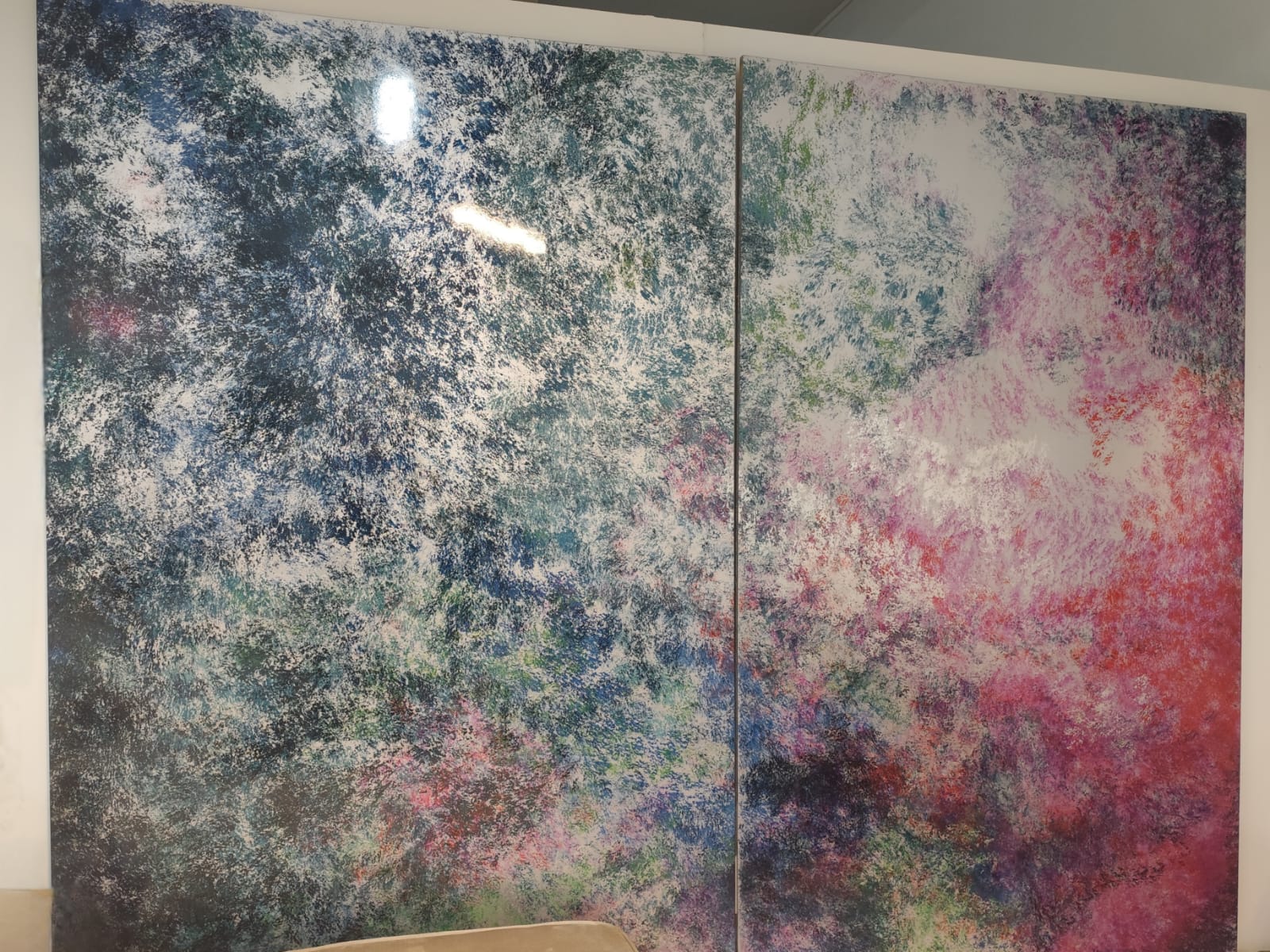 Boazeria Colorata (7)