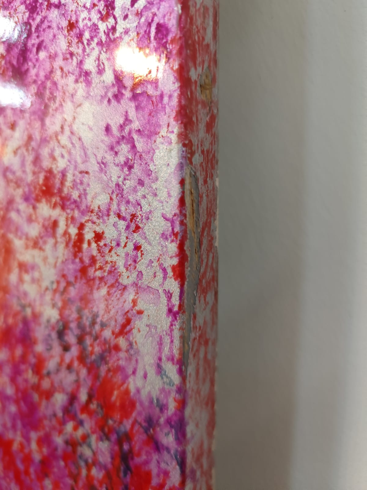 Boazeria Colorata (8)