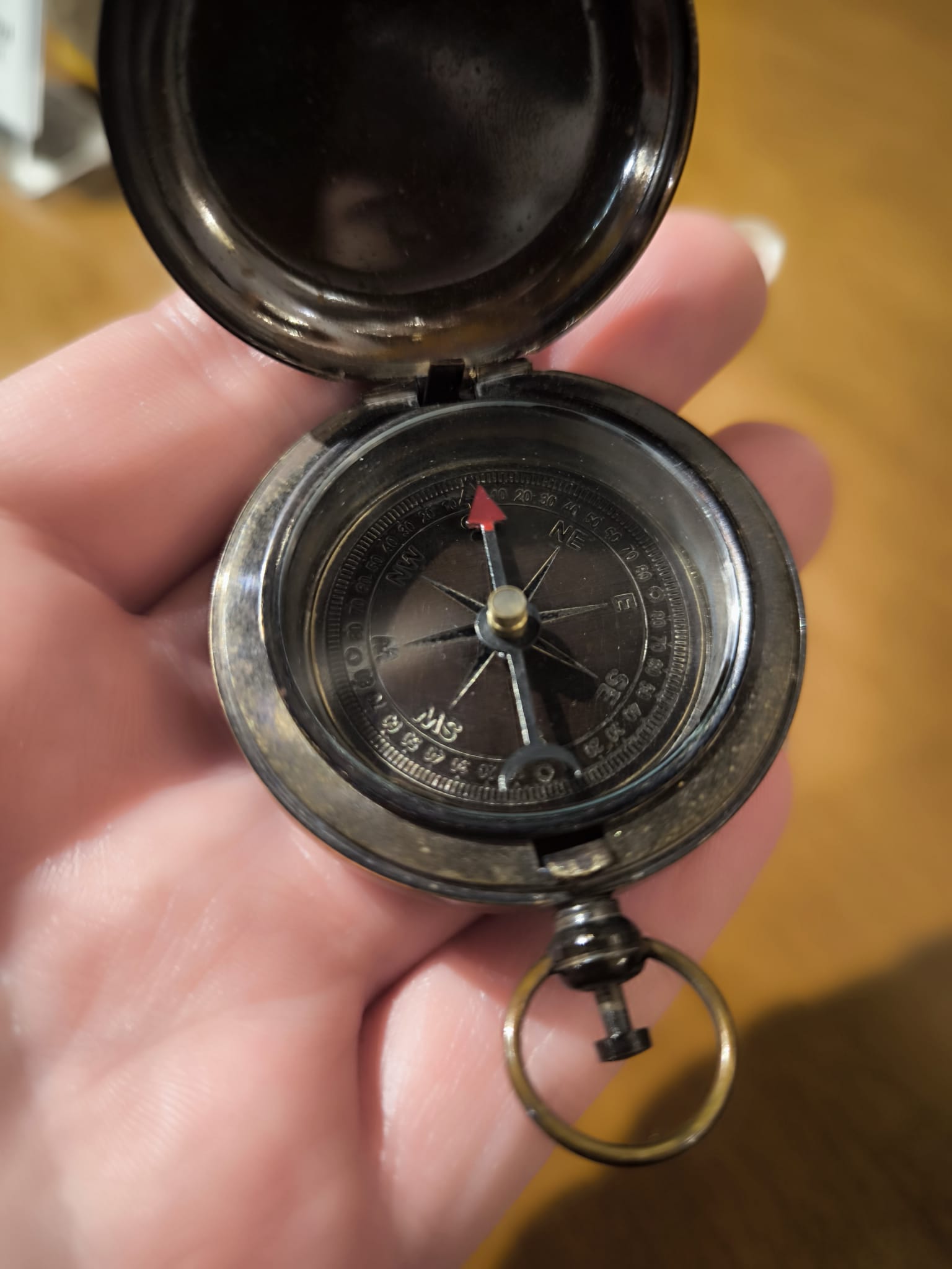 DM5 KOMPAS ZAMYKANY, MOSIĘŻNY NA WIECZKU KOTWICA (2)