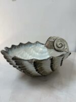 Misa E Muszla Zakręcona (1)